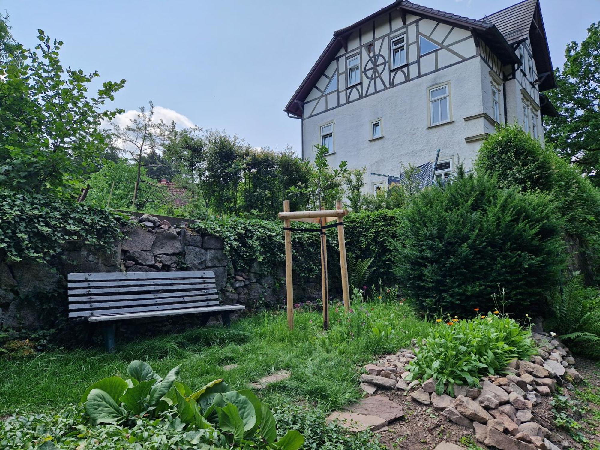 Ferienwohnung Im Logierhaus Villa Ihler Луизенталь Экстерьер фото